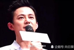 爆料何老师最新视频播放,揭秘幕后故事与精彩瞬间